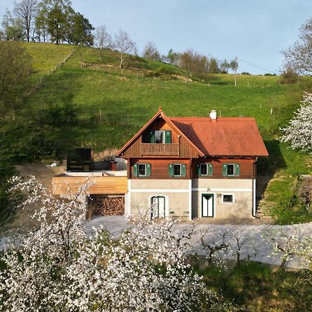 Pettinger Stoeckl Villa Heimschuh Buitenkant foto